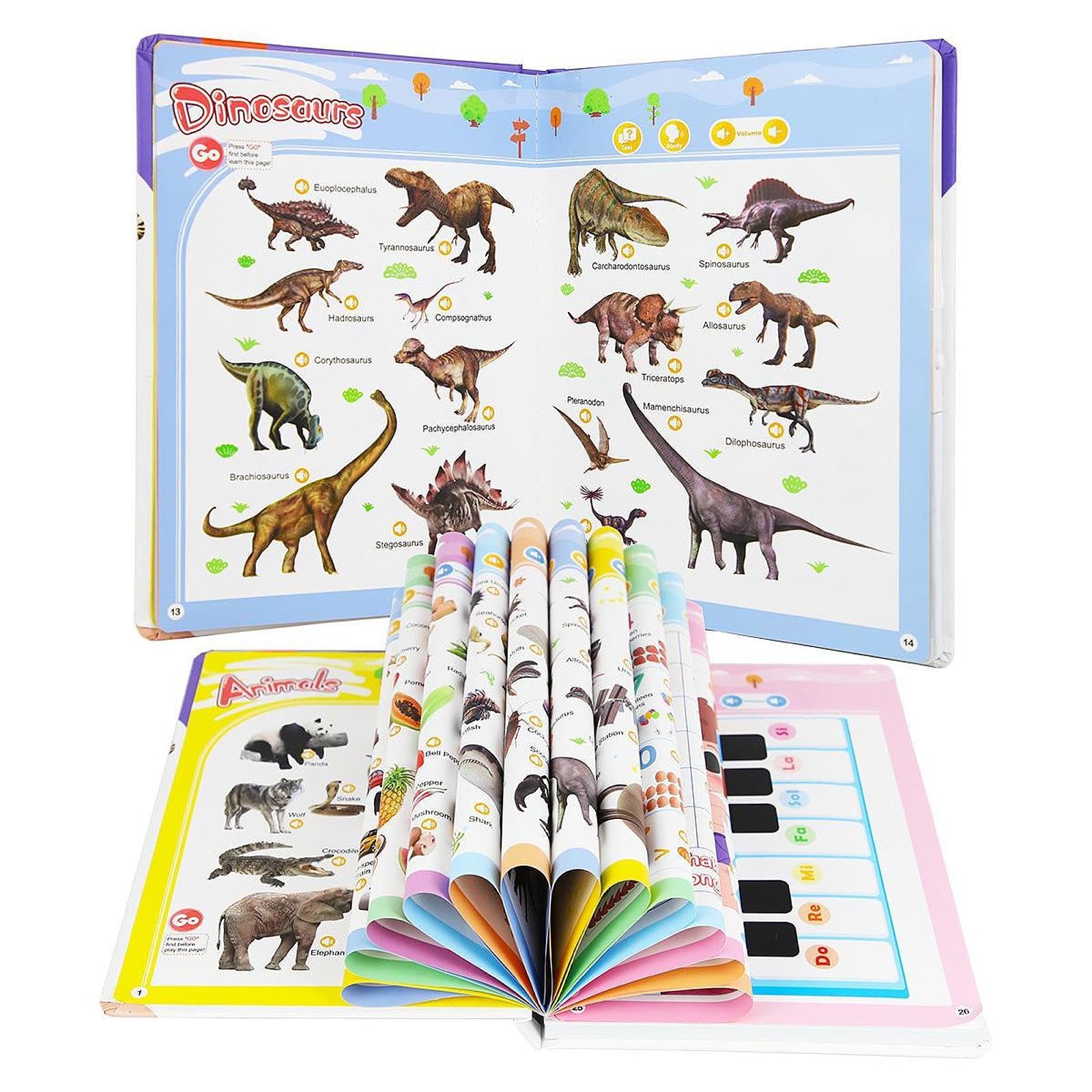 Qianly Libro de Sonidos de Palabras en Inglés para Niños: Aprendizaje Temprano del Lenguaje.