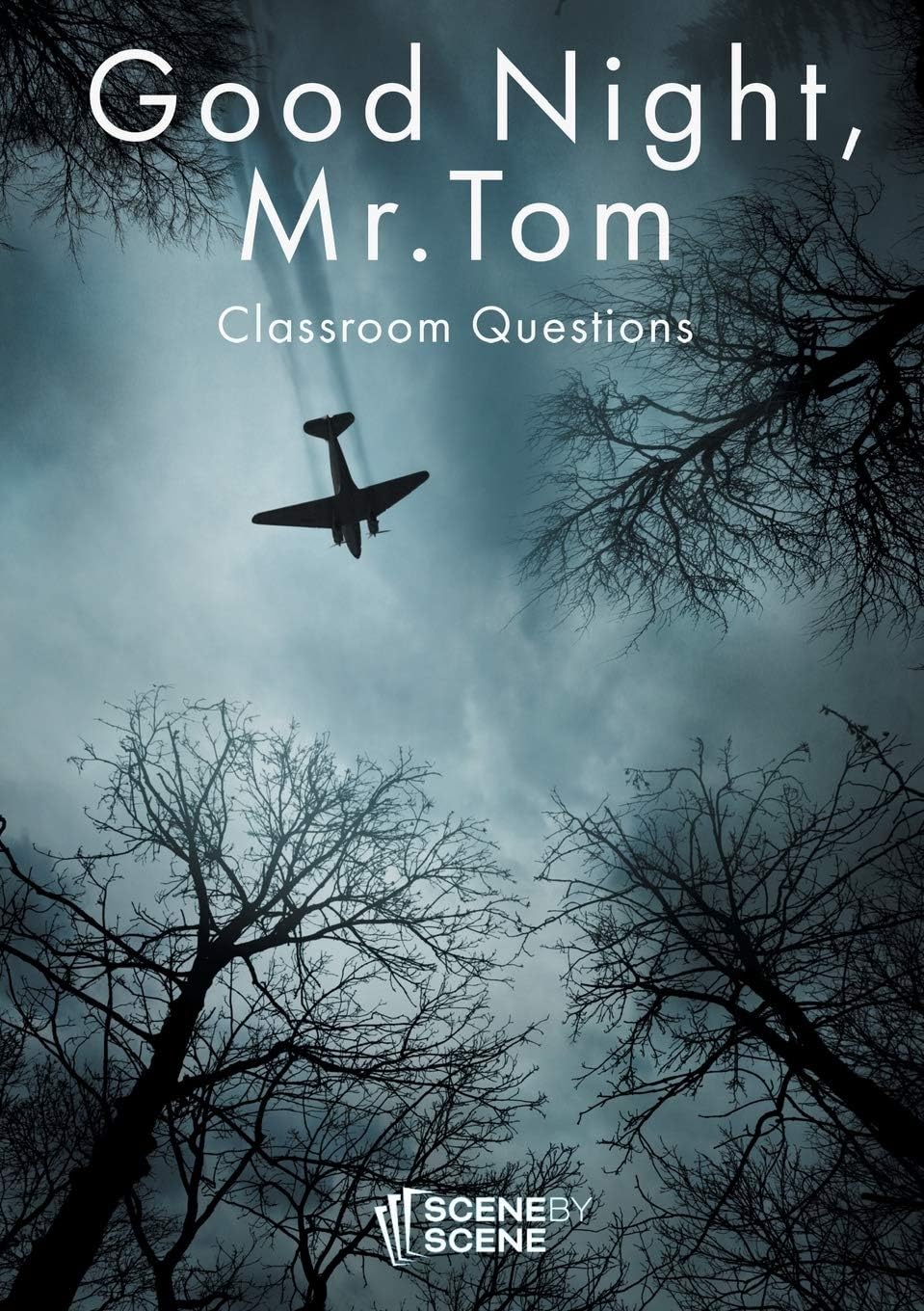 Good night, Mr. Tom Classroom Questions