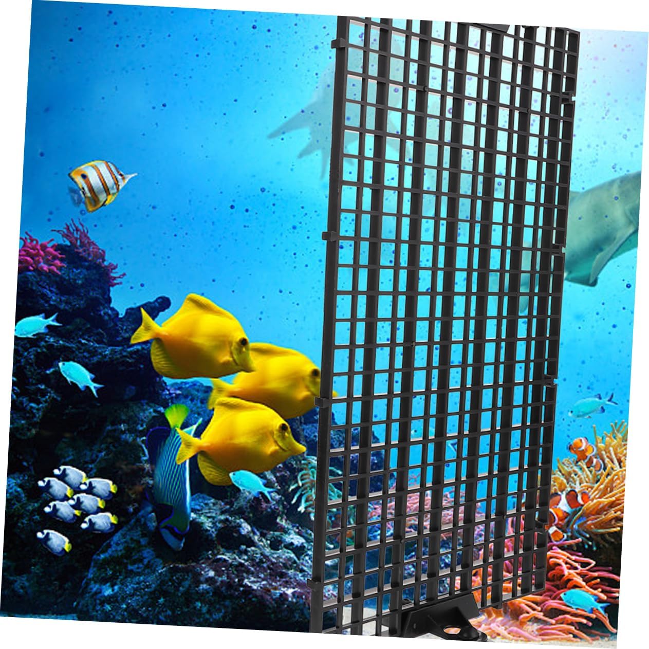 1set Fish Tank Divider Kit Isolation Board Cups Aquarium Separator for Peaceful Environments for Preventing Fish Biting