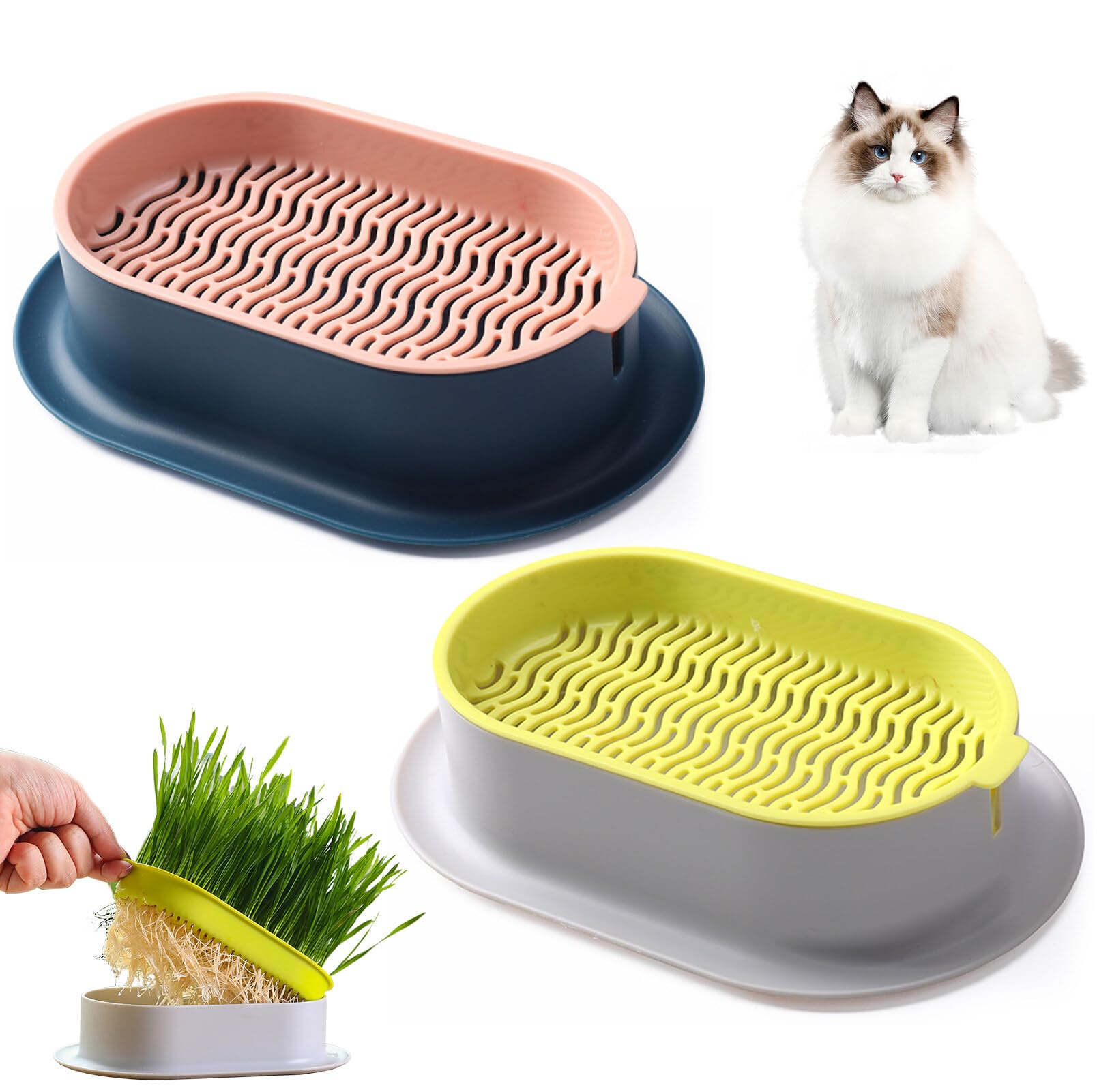 2 cuencos para plantas de hierba de gato, bandeja para hierba de gato, bandeja para gérmenes, bandeja de germinación, semillas, germinación, bandeja de germinación, bandeja de semillas para