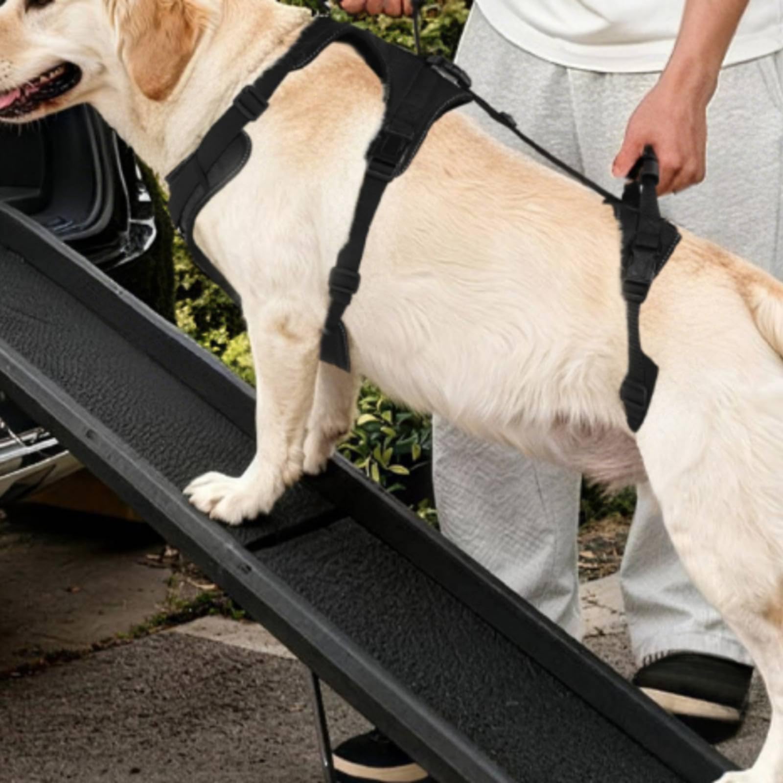 reflektierend Hebehilfe für Hunde, L, Schwarz, Color to 1