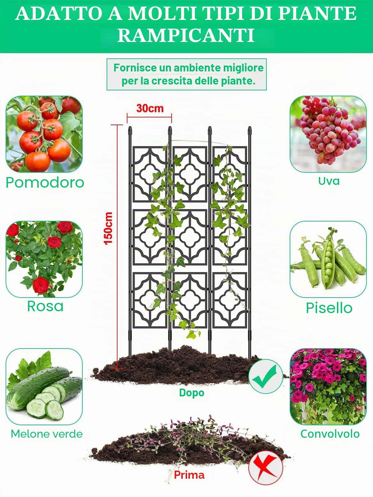TOROKOM Traliccio da giardino per piante rampicanti da 1,5 m, Set di 3 tralicci paravento, supporto per cetrioli, piante in vaso, frutta e verdura per interno ed esterno