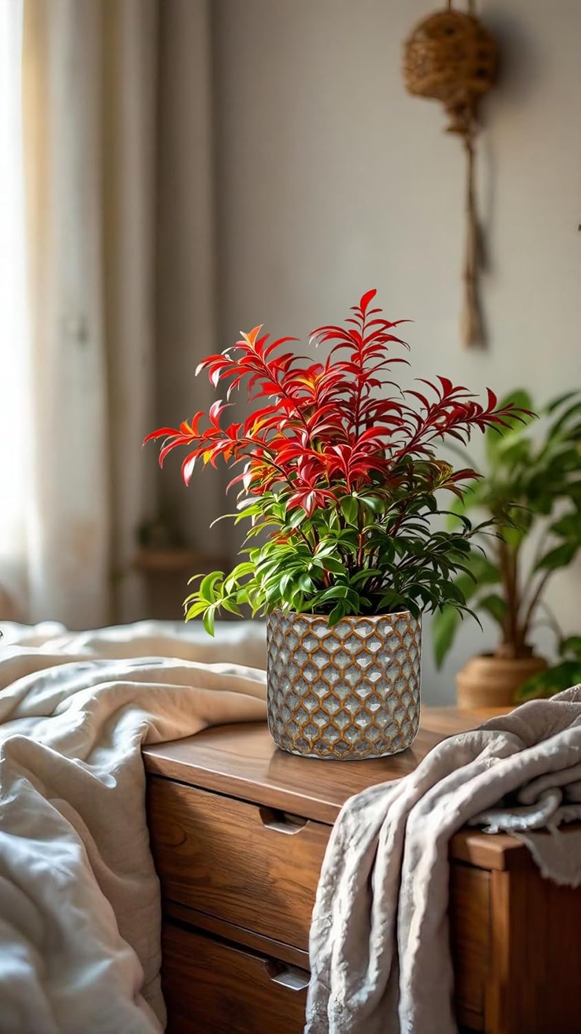 Oairse Small Ceramic Pots for Plants, 5.3 inch Brown Plant Pot Indoor with Drainage Ceramic Planters for Indoor Plants Succulent Planters Decorative Flower Pots for Cactus, Snake Plant, Herb