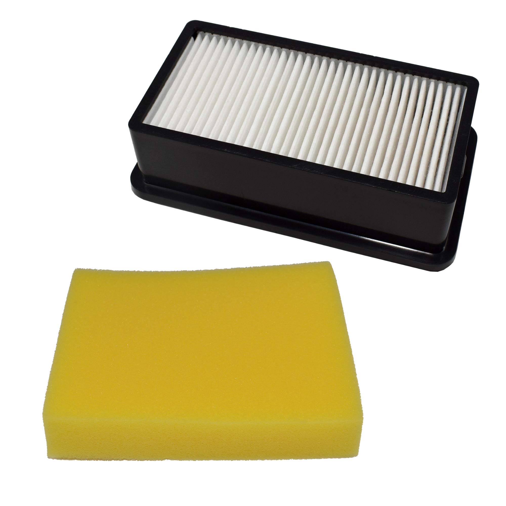 HQRP Filter Set Compatible with Bissell CleanView 1008 fits 1813 1825 1831 1834 1836 1837 1838 1243 1319 2383 2410 2412 3247 3583 3918 4207 7482 7636 8531 8532 9595 1816 series Upright Vacuum Cleaner