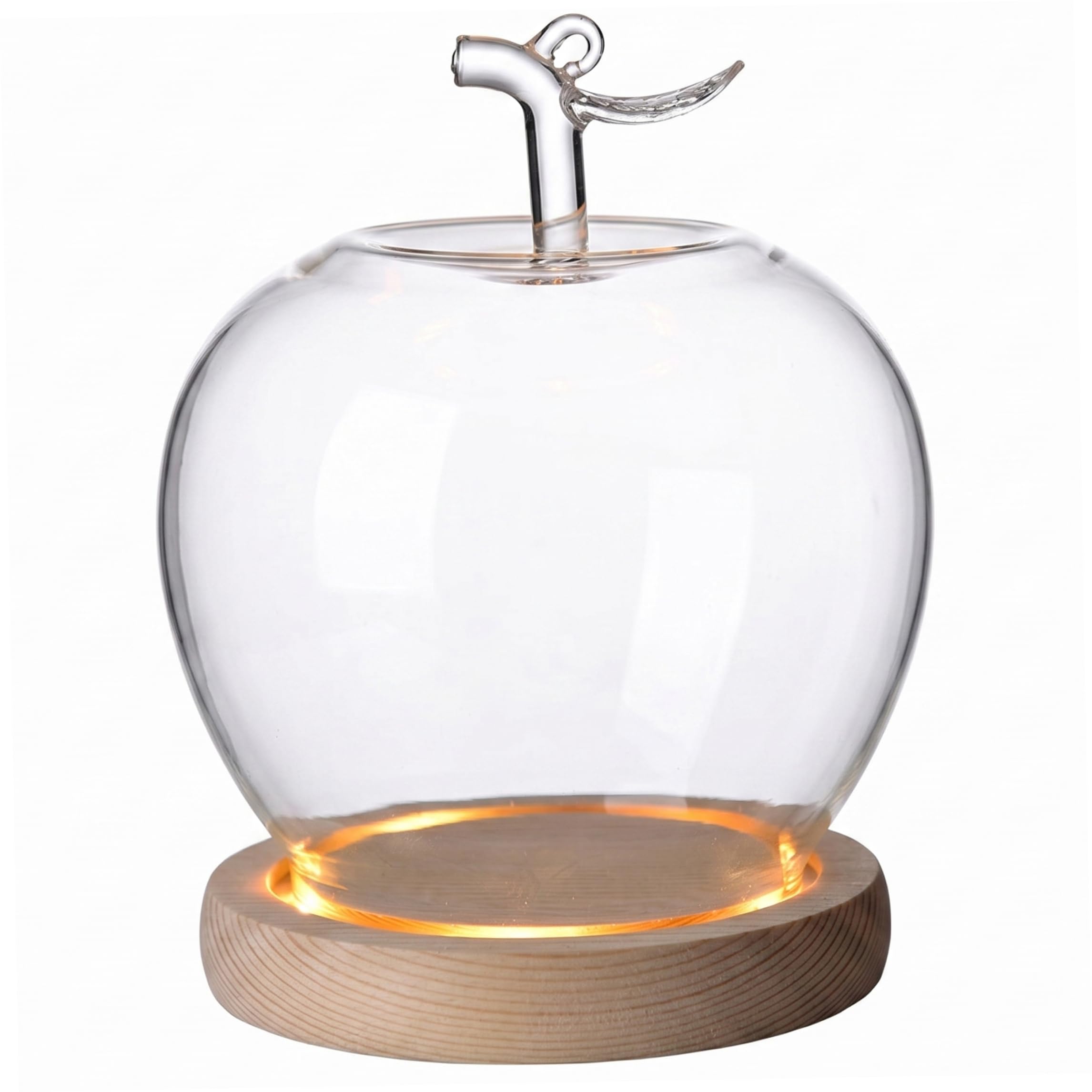 Cloche en borosilicate soufflé et dôme en verre haute transparence avec socle premium LED