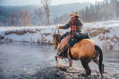 Miniatura 7 de TrailMax Alforjas medianas para montar en senderos bolsas aisladas para caballos bolsas de sillín con bolsa de cantle desmontable juego de bolsa de