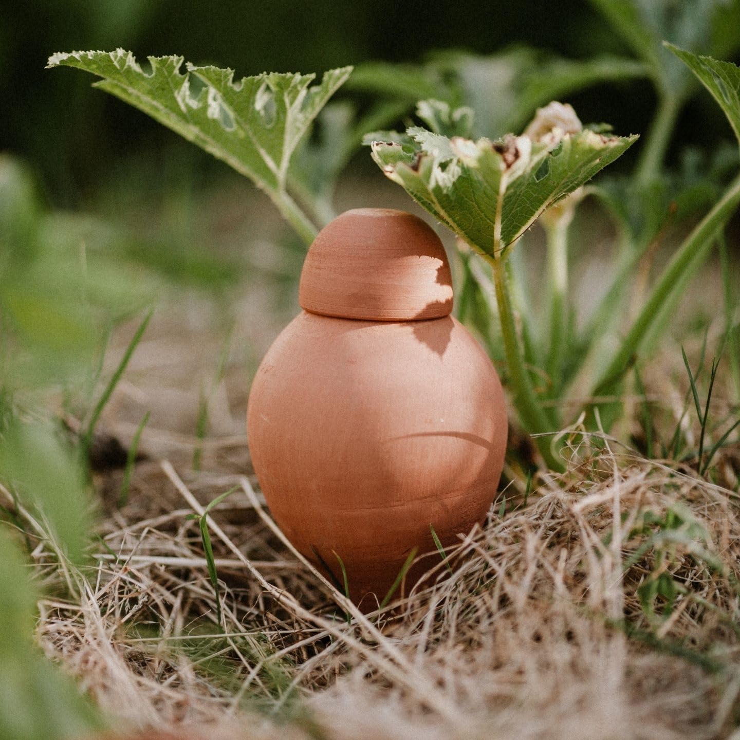 Poterie Lutton | Duo Ollas Sabeur 0,40 L | Terracotta Nature & Blanc Émaillé | Arrosage Automatique Écologique pour Plantes d’Intérieur | Irrigation Ciblée Artisanale