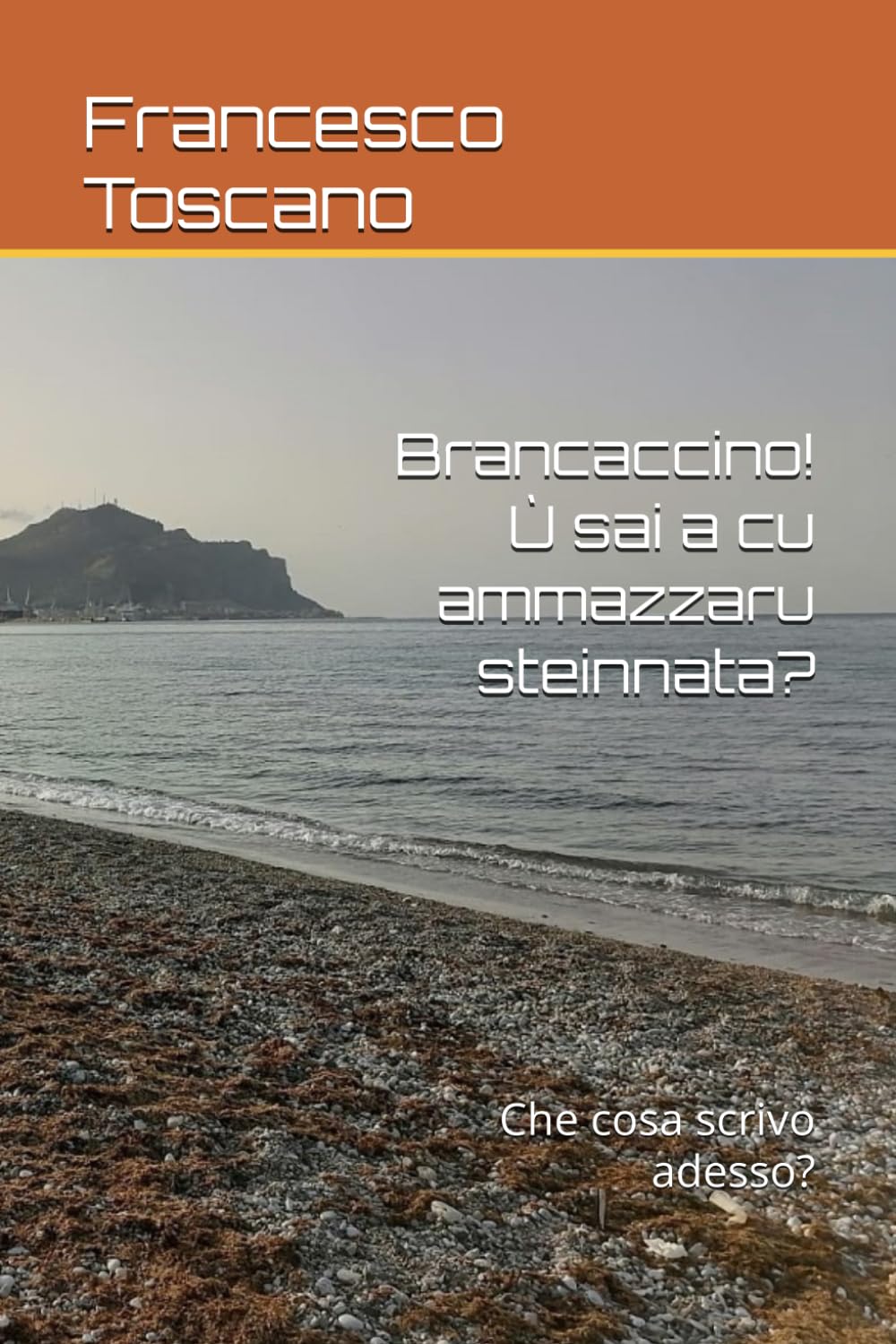 Brancaccino! Ù sai a cu ammazzaru steinnata?: Che cosa scrivo adesso?,di Francesco Toscano