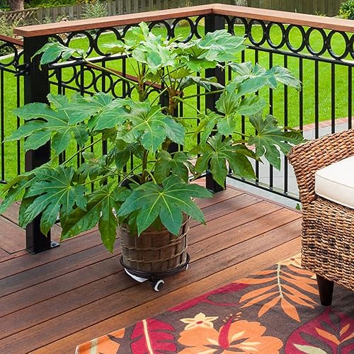 Miniatura 7 de Skelang Paquete de 2 bandejas para plantas de 13.3 pulgadas, paleta para plantas con cajón de agua, plataforma rodante para mover macetas, macetas,