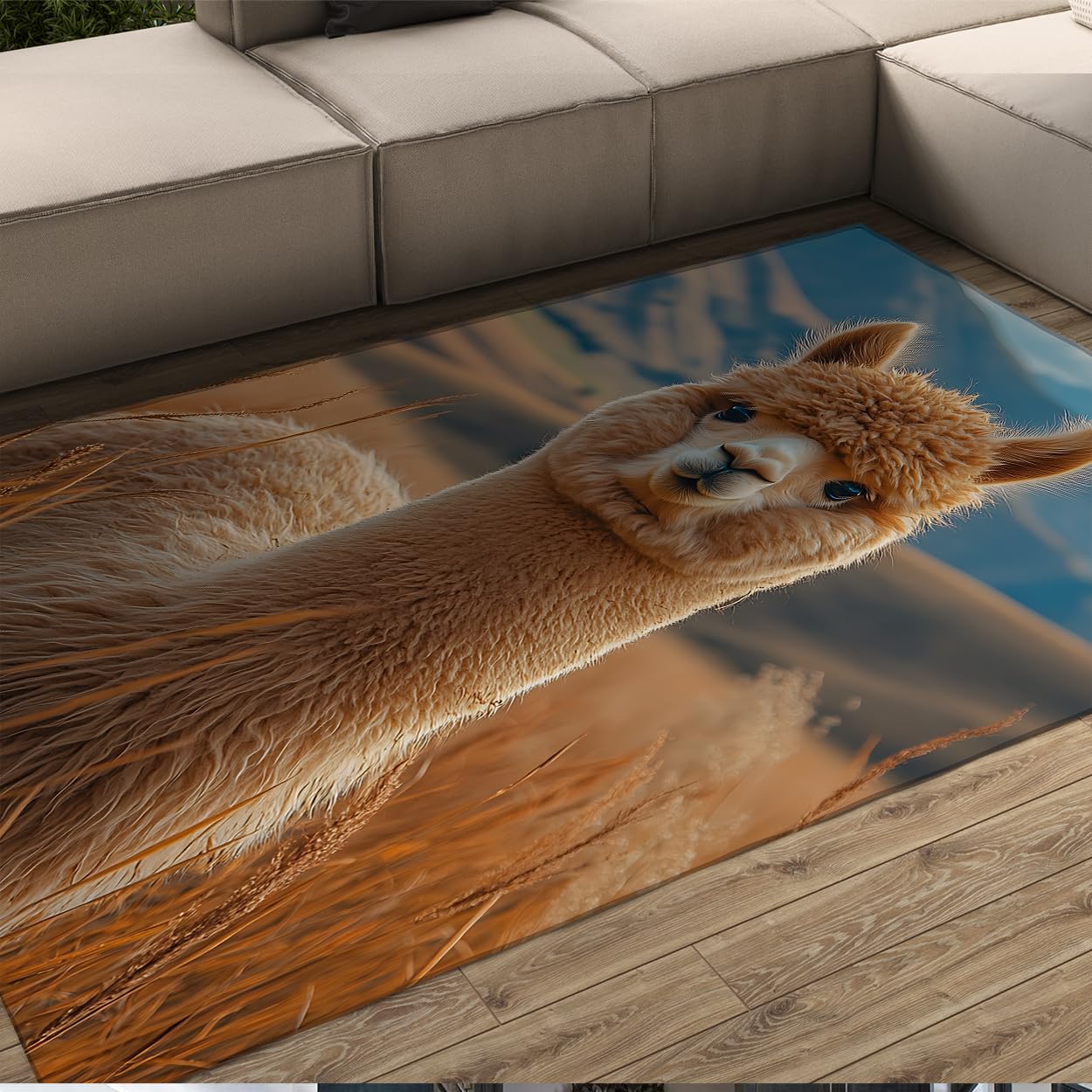 Tapis alpaga lavable pour solutionner les taches et glissades du salon