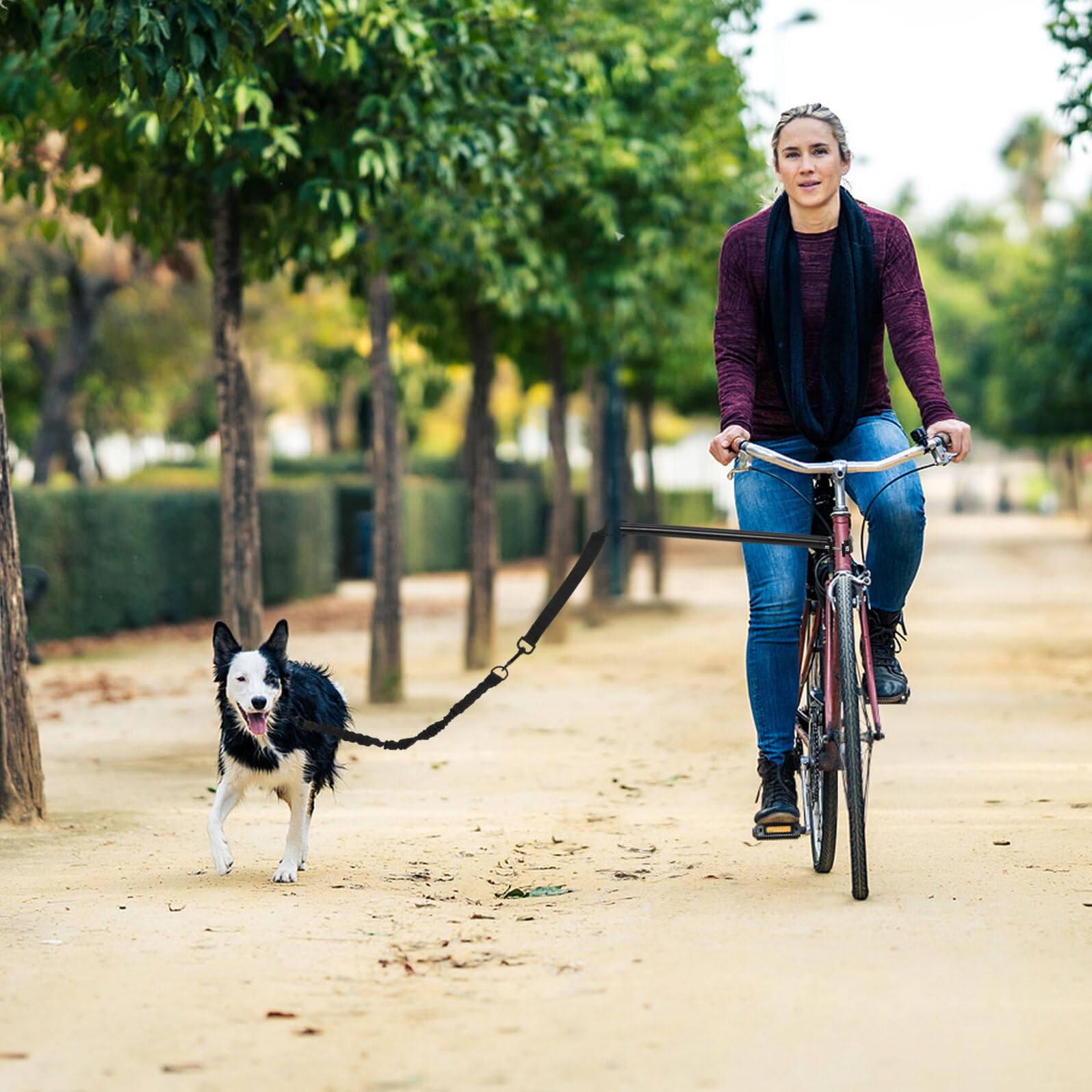 Toyvian Guinzaglio per Cani da Bicicletta Resistente all Uso Outdoor Corda Traction per Passeggiate e Attività Esterne con Cani di Media