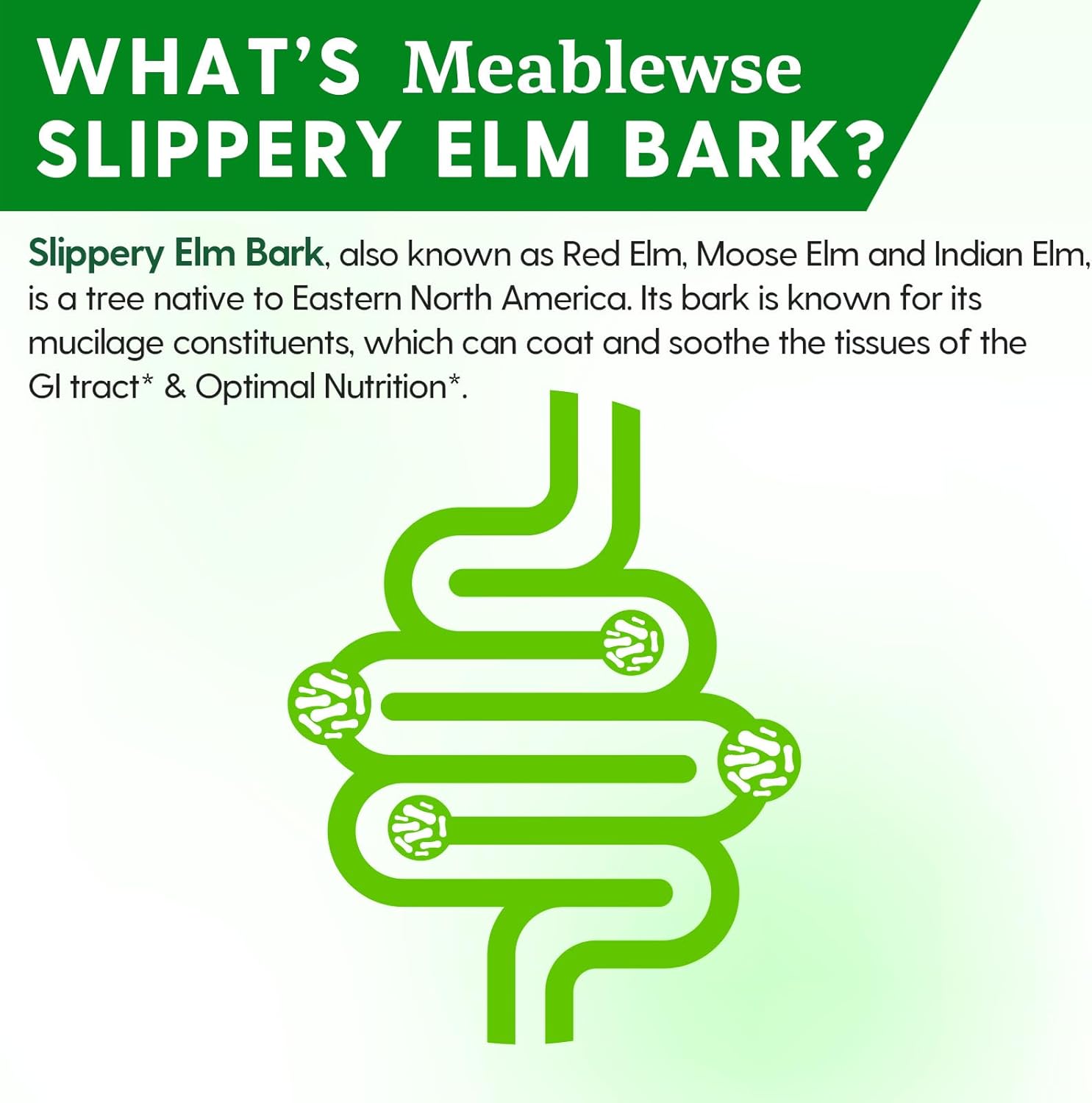 Slippery Elm, Natural Herbs Slippery Elm Powder for Soothing Throat* & Digestive, Diarrhea, PH Balance, Gut Health - with Superior Inner Bark Source, 100% Pure & Vegan, Non-GMO, 1lb (349 Servings)
