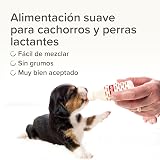 Ver la foto 7