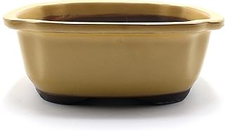 うめきち盆栽用品店 盆栽鉢 7号 木瓜鉢 モッコ鉢 黄土色 黄釉 瀬戸焼 陶器 深め 大型 中型 雑木 松柏 約23.5センチ