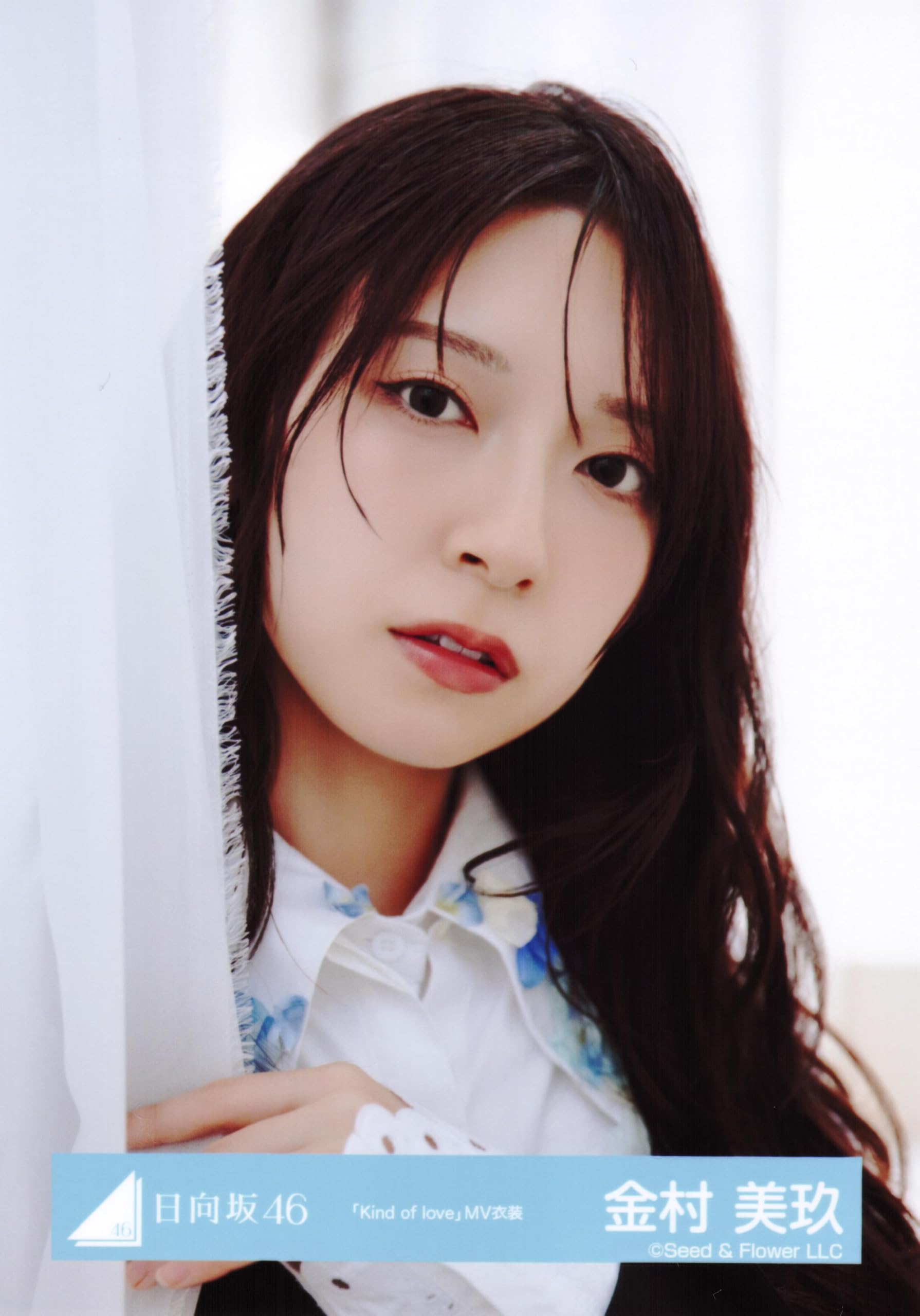 Amazon.co.jp: 日向坂46 生写真 Kind of love MV衣装 8種コンプ 金村