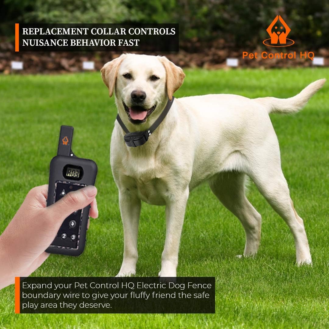 Yellow Labrador wearing the Pet Control HQ collar, with a hand holding the remote control