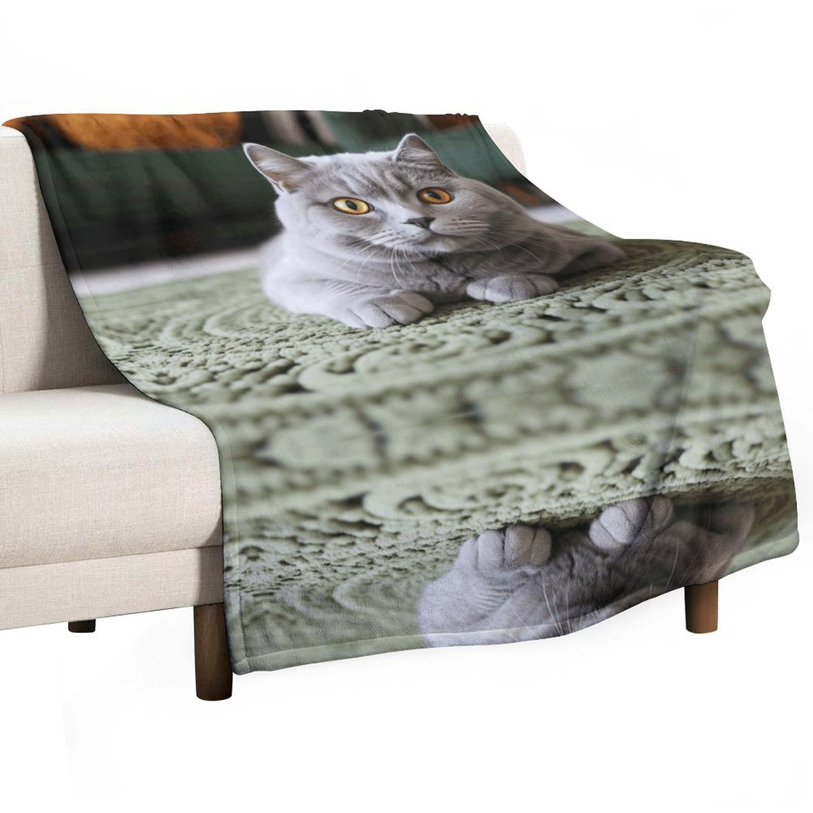 Couverture chat automne sur le canapé pour des soirées cocooning chaleureuses au salon