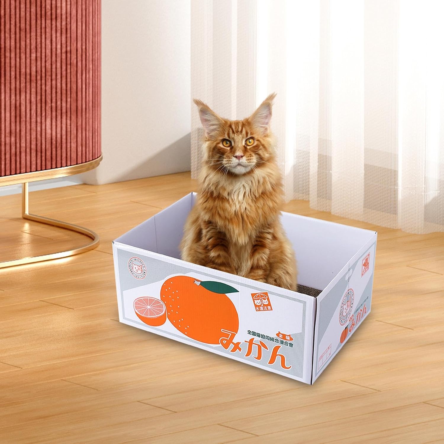 review Cardboard Cat Scratcher Box Compact Cat Scratching Pad for Small Medium Cat Kitten Nest Catnips Box Bed Cat Scratching Board, Orange