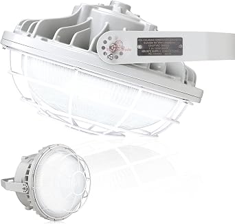 RuggedGrade 60W Hercules Series LED Hazardous Location Light