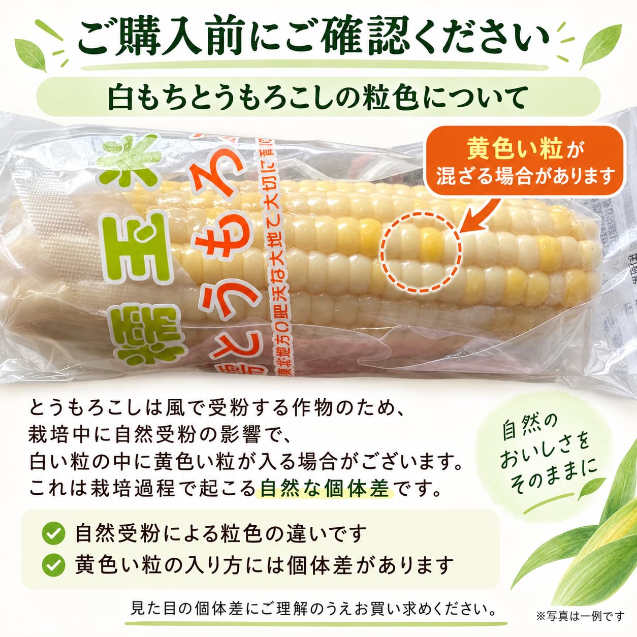Amazon.co.jp: 【もちもち食感・甘さ控えめ】10本入 中国産 黄糯玉米