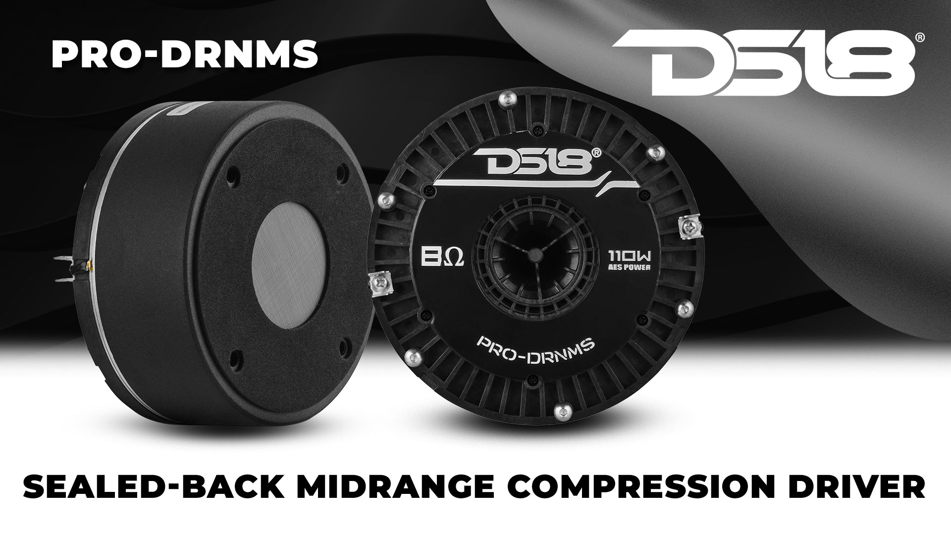 Amazon.com: DS18 PRO-DRNMS 2