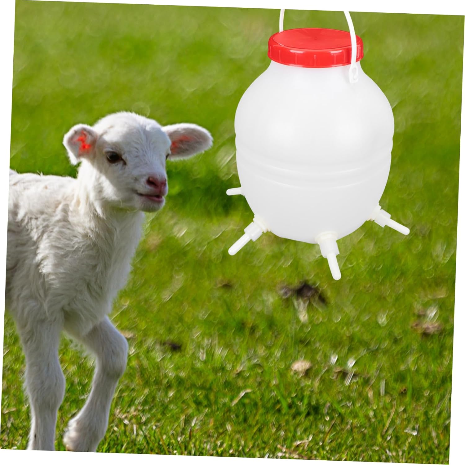 VICASKY Lamb Milk Feeding Bottle Set for Nursing 8L with Silicone Nipples for Sheep and Pigs Sturdy Feeding Solution for Livestock Supplies