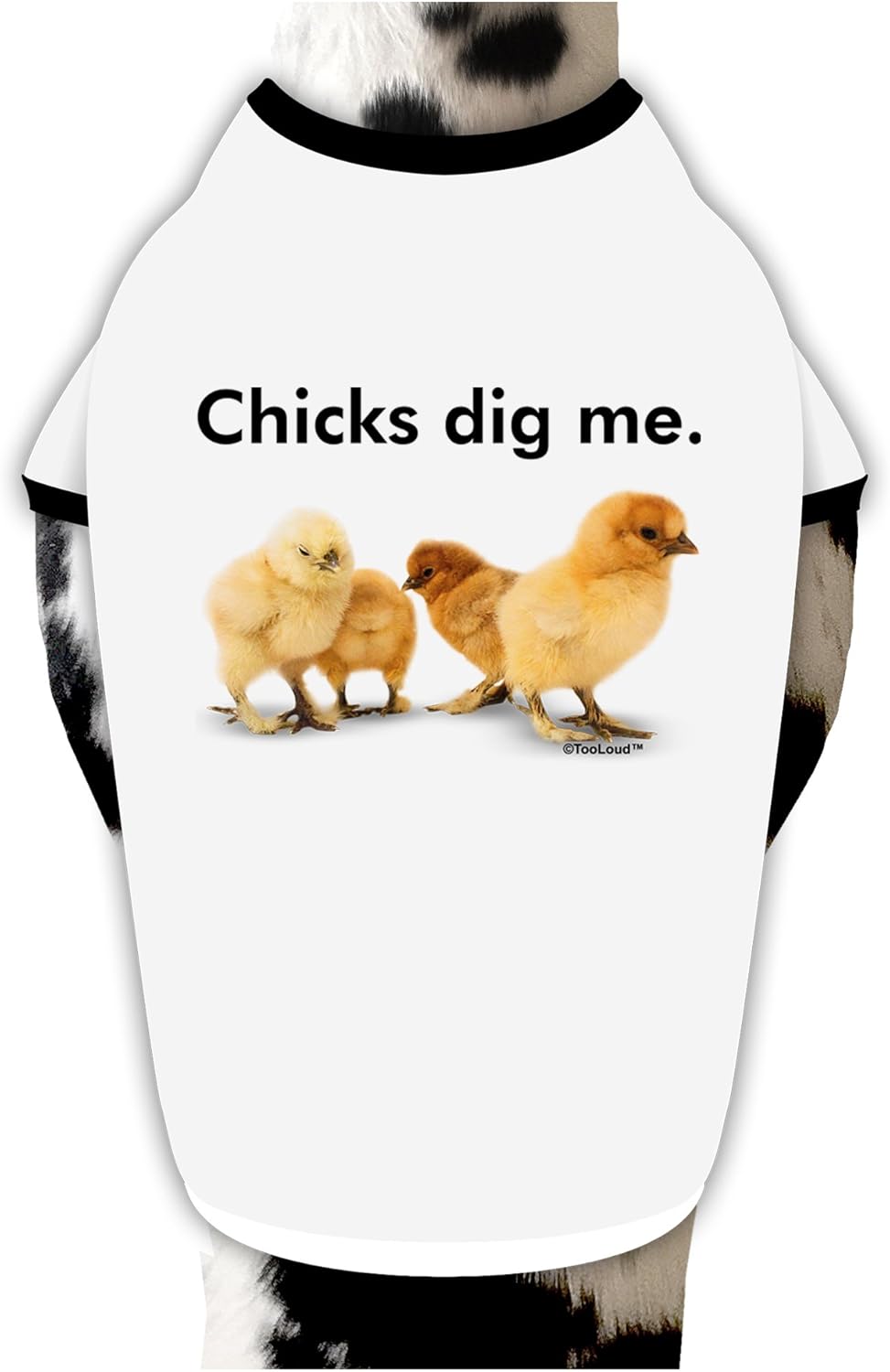 TOOLOUD Chicks Dig Me Dog Shirt White with Black XL