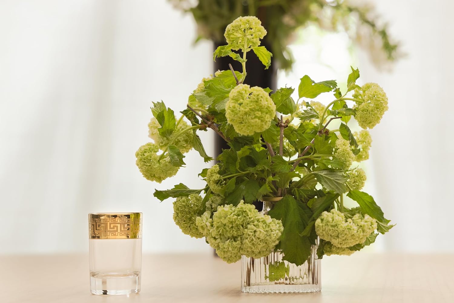 Joseph Sedgh Collection Greek Key Shot Glasses Set of 6-2 oz Heavy Base, Round Cylinder. Ideal for Tequila, Vodka, Aperitif, Espresso. Dishwasher Safe Premium European Grade Glassware - Image 5