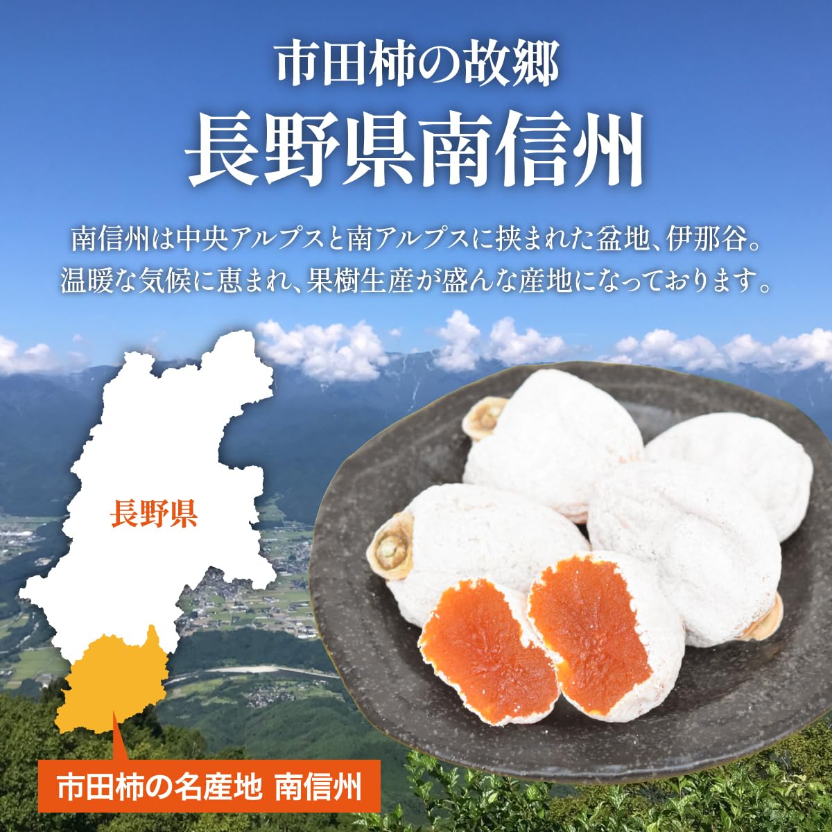 Amazon.co.jp: 【平均糖度50度】 長野県産 干柿 「 市田柿 」 約1.4