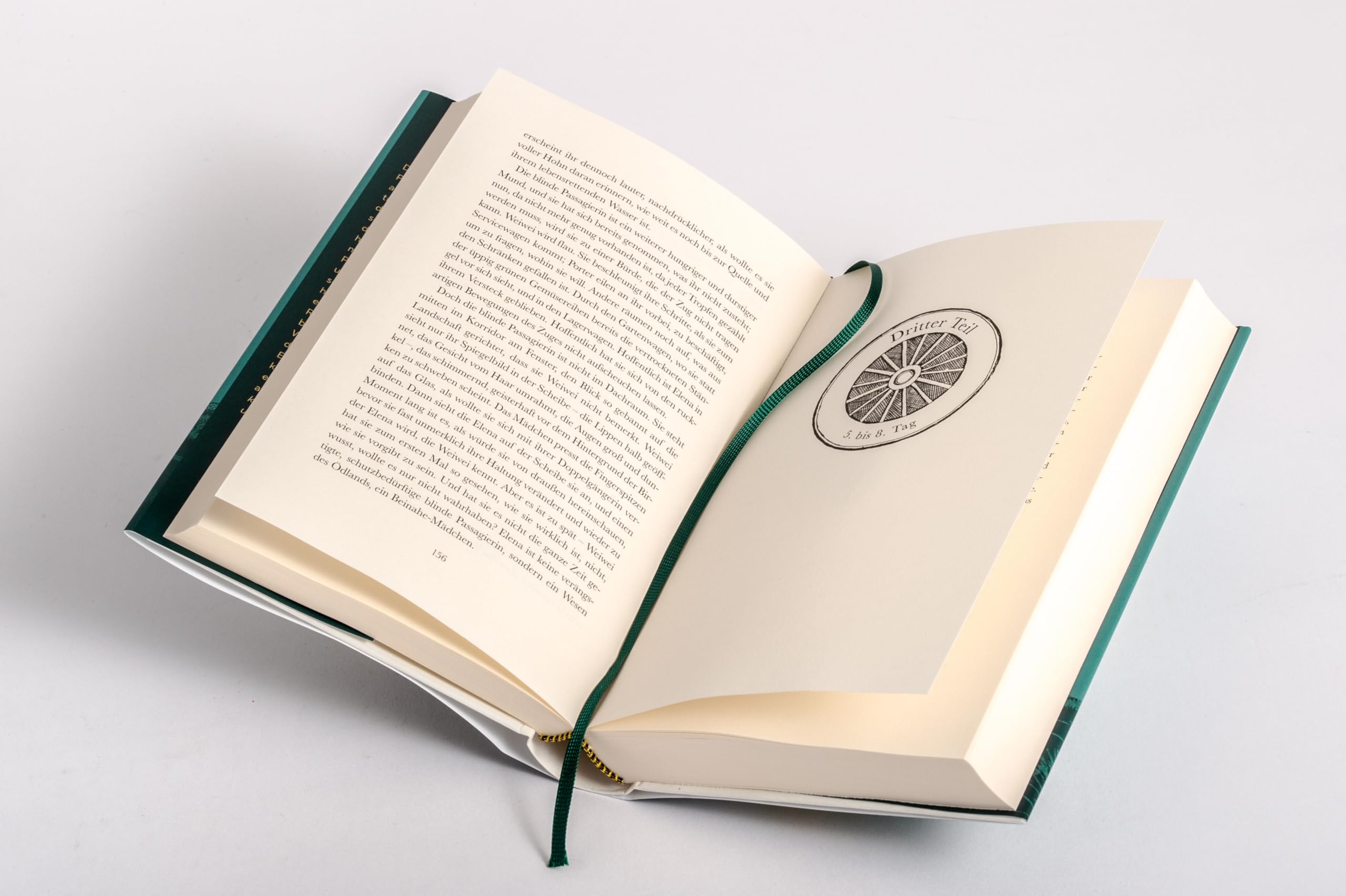 Handbuch für den vorsichtigen Reisenden durch das Ödland: Roman