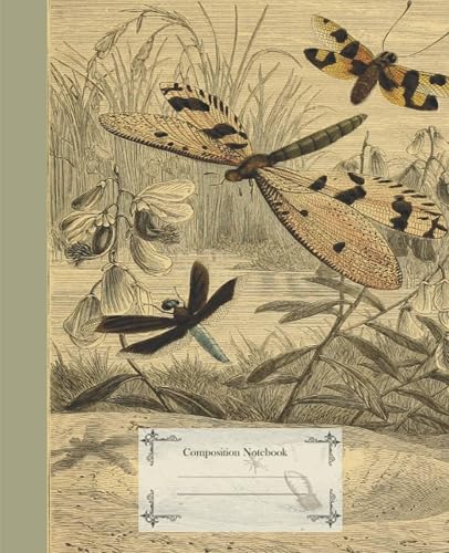 Composition Notebook: Net-Winged Insects: Wide Ruled: Vintage Entomology Cover: Illustration of Neuroptera