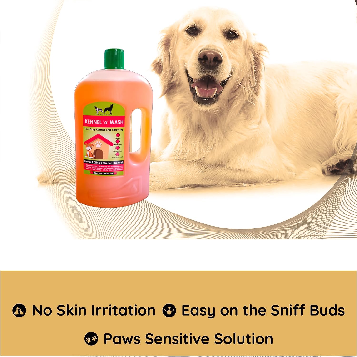 Patch & Marshall Kennel O Wash Pet Area Cleaner/Kennel Wash/Kennel Cleaner/Pet Floor Cleaner/Natural Pet Safe Floor Cleaner with Odor Neutralizer 1000 ml Citrus - New Pack (Citrus - Old)
