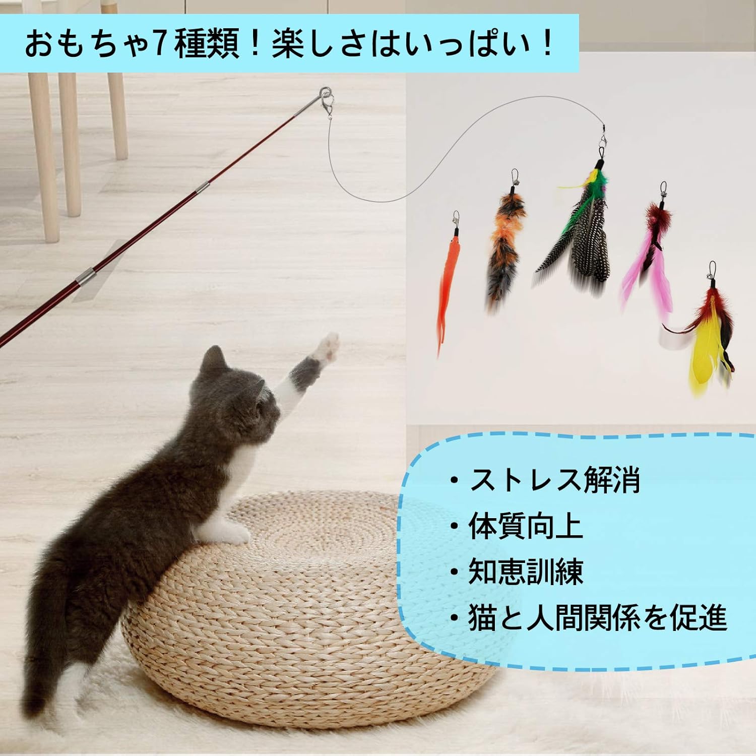 Amazon 猫じゃらしangelpet じゃれ猫 猫のお好みじゃらし 猫のおもちゃ 天然鳥の羽棒鈴付き 交換用おもちゃ7本 交換用釣り糸2本 交換用留め具1個 レッド 11個セット Angelpet 猫じゃらし 羽のおもちゃ 通販