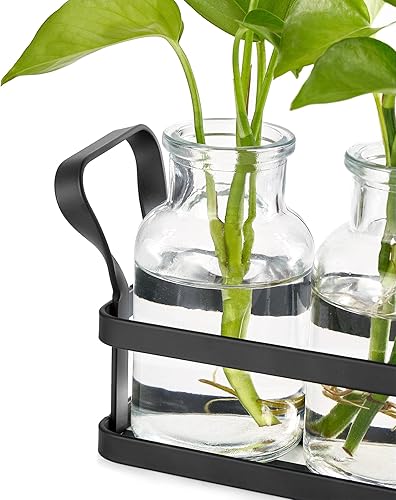 Miniatura 4 de Mkono Estaciones de propagación con soporte de metal, plantas de escritorio, terrario de vidrio, jarrón para plantas hidropónicas, corte de flores,