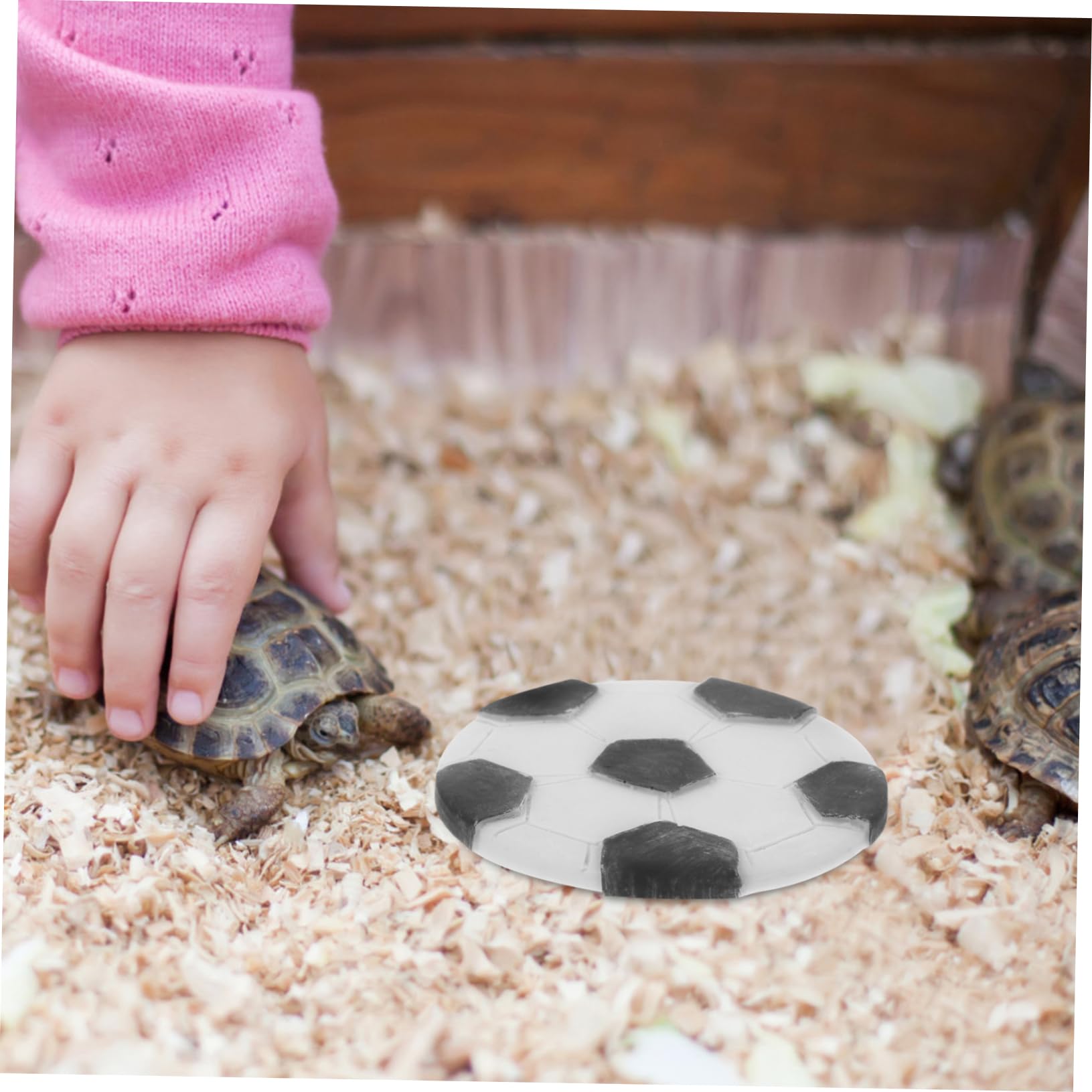 Hohopeti Reptile Basking Platform Turtle Feeding Plate Resin Material Versatile Use for Turtle Pet