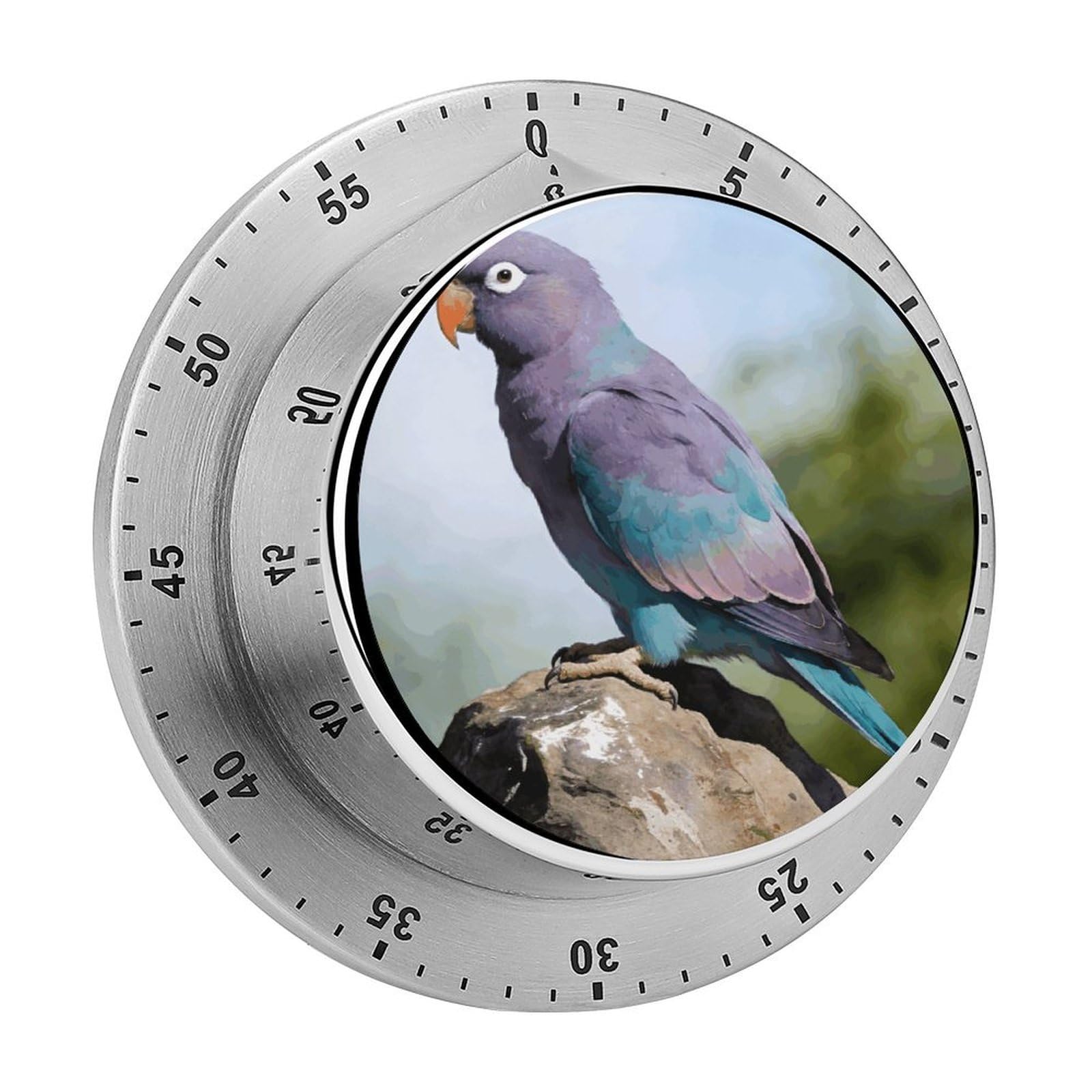 Parrot Mechanical Kitchen Timer, Magnetic Stainless Steel Countdown Timer, Loud Alarm Cooking Timer for Baking, Cooking, Fitness, Classroom, No Battery Needed