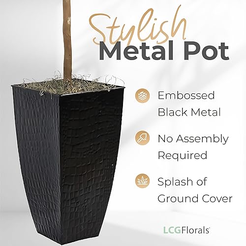 Miniatura 4 de Higuera artificial de hoja de violín de 5 pies, tronco de madera real, premontado, planta sintética de interior sin mantenimiento en maceta de metal