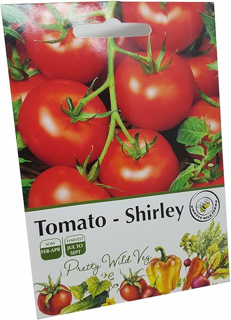 Shirley F1 Tomato Seeds in Pictorial Packet from UK Seller
