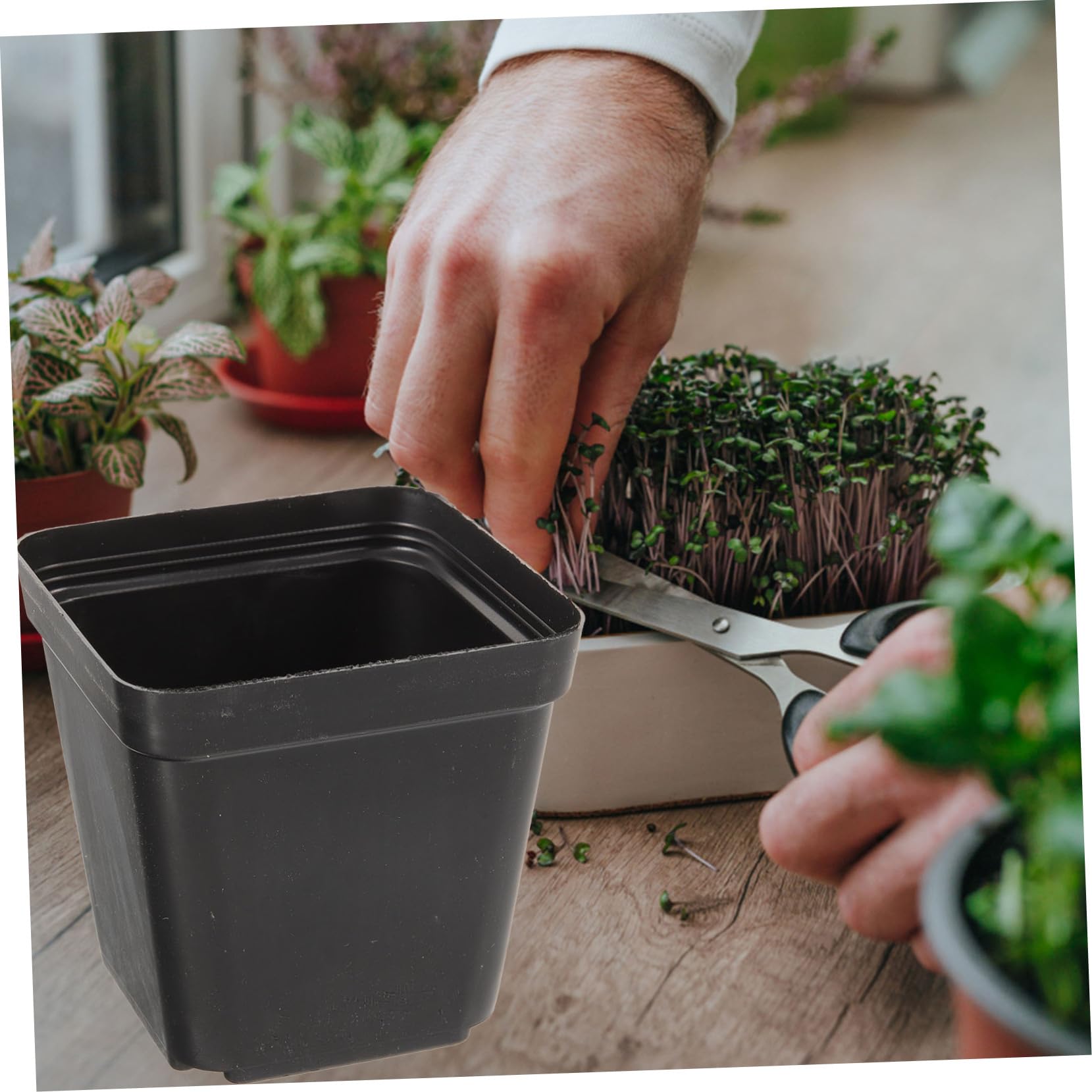 Milisten 120pièces Pots Carrés Profonds Plastique pour Plantes avec Drainage pour Semis Petits Pots à Fleurs Réutilisables