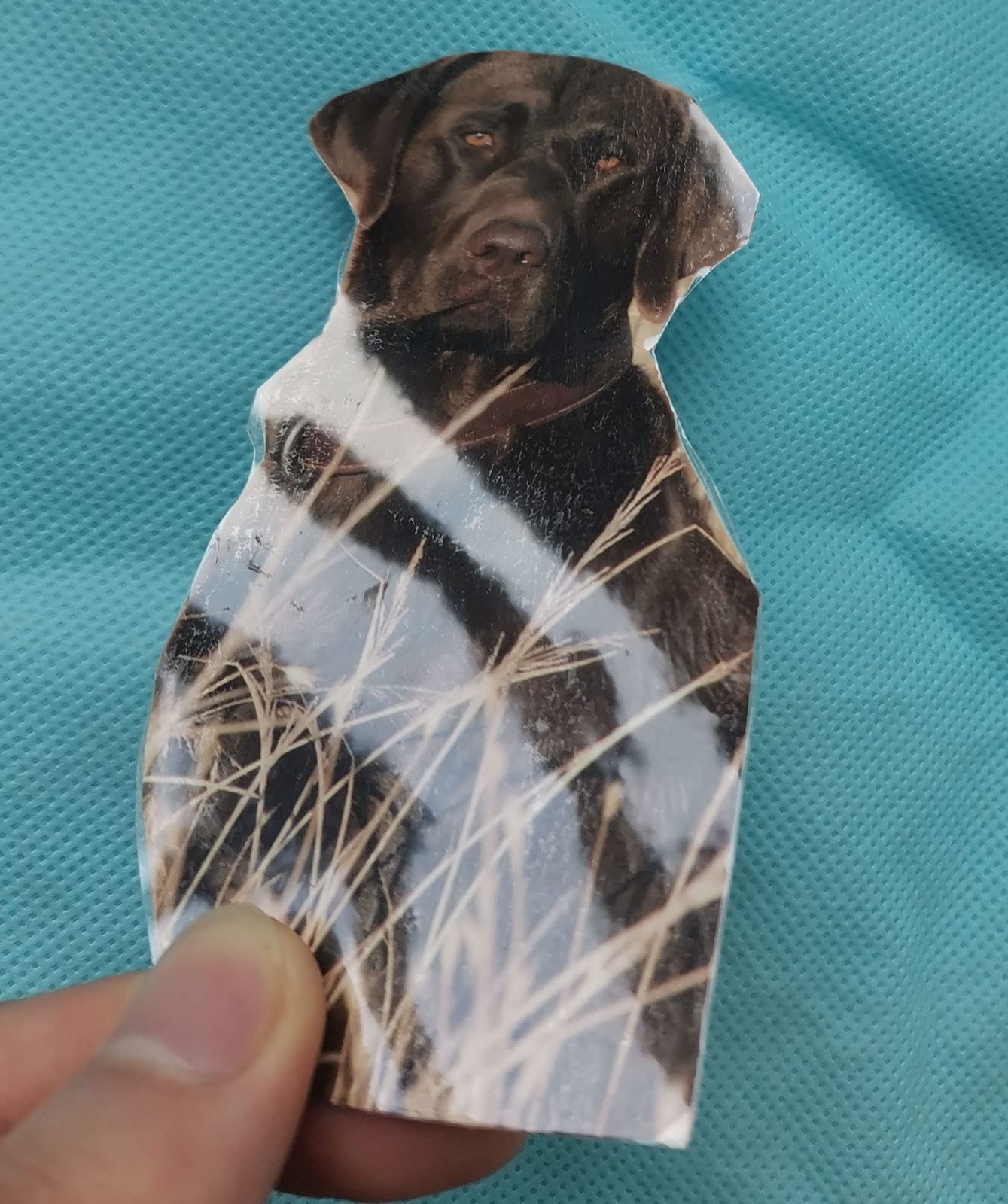 Objetivo De Práctica De Tiro Con Autoadhesivo De Alta | Envío Gratis