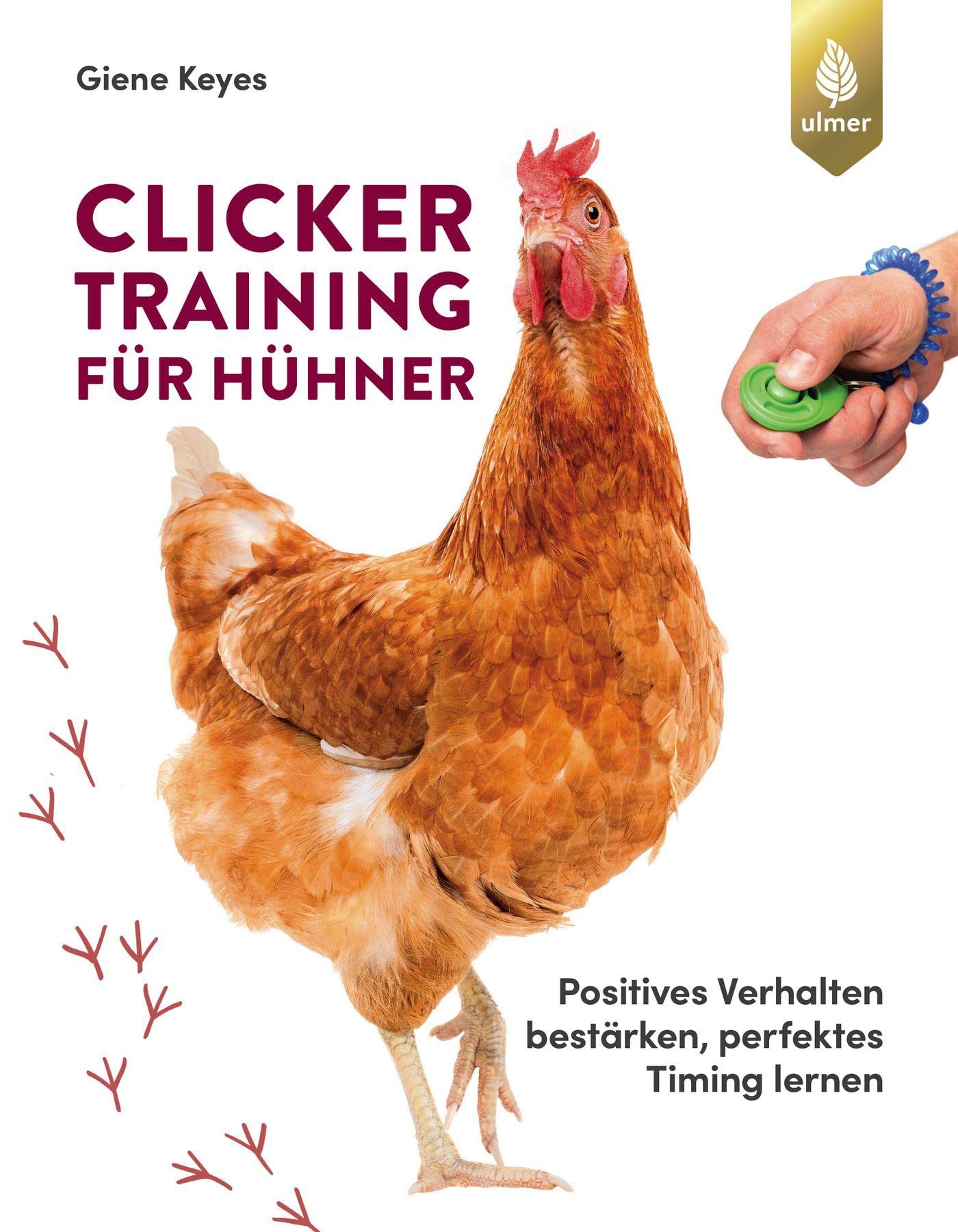 Clickertraining für Hühner: Positives Verhalten bestärken, perfektes Timing lernen