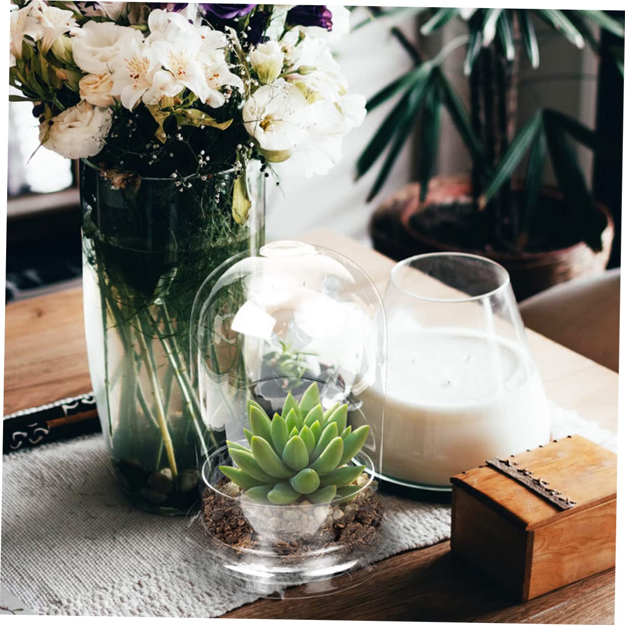 HANABASS Vaso Terrario Bottiglia in Vetro Ecologica Contenitore Decorativo Per Micro Paesaggi Piante Di Muschio Fai Da Te