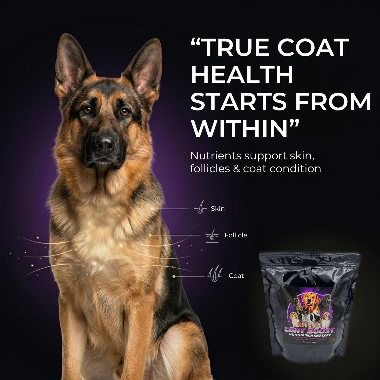 CPN Coat Boost™ Dog Coat & Skin Supplement – Natural Omega 3, Green Lipped Mussel, Organic Superfoods – Supports Shiny, Itch Relief, Detox & Immune Health – 2.5 lbs