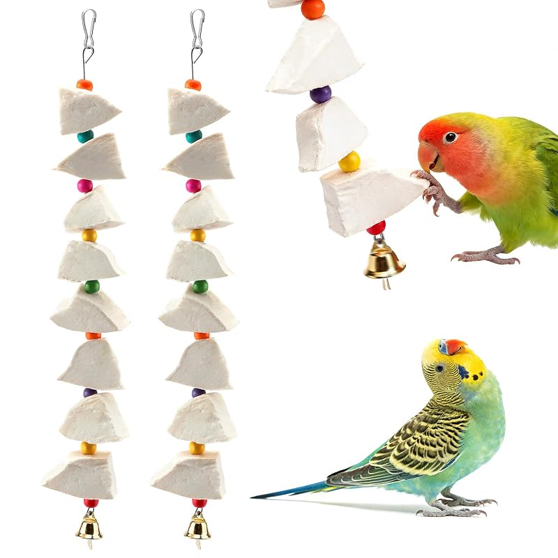 Brinquedo mastigável para aves com osso de siba natural, guizo e contas coloridas CZWESTC, pacote com 2