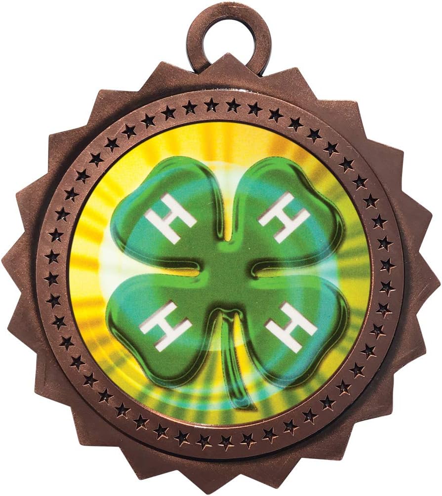 Express Medals Various 10 Pack Styles of 4H Award Medals with Neck Ribbons Trophy Award Prize Gift