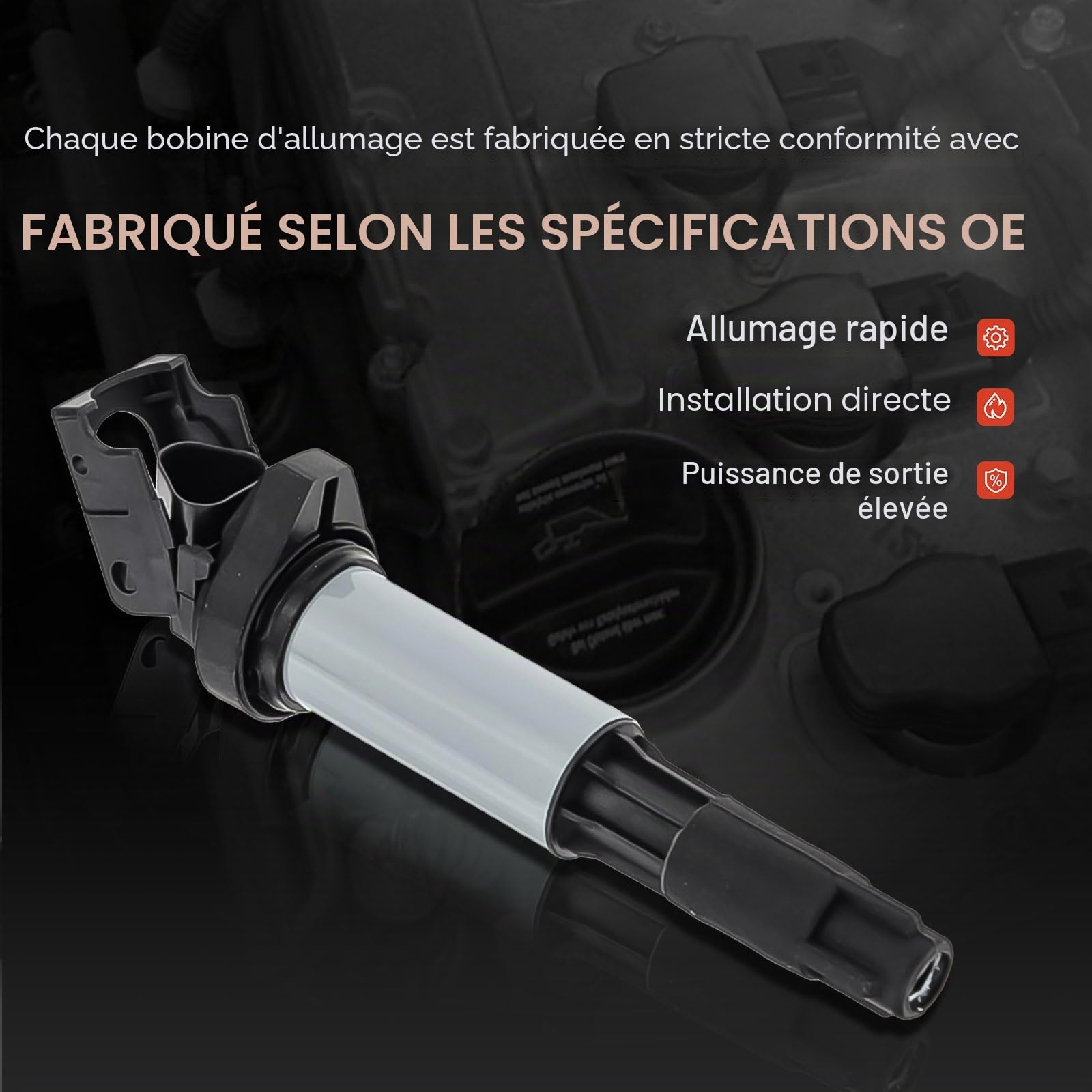 Frankberg 4x Module d'allumage à bobine 12131712219