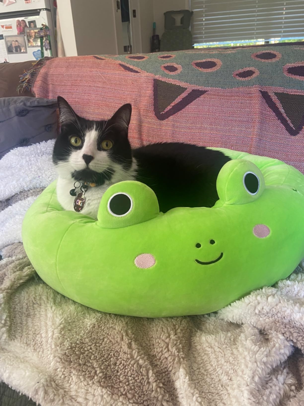 Squishmallows Officieel 20-inch Maui ananas huisdierbed - Klein Ultrasoft officieel pluche huisdierbed