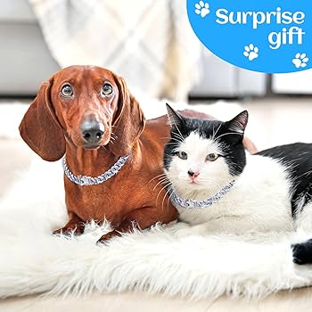 Amazon.com : 14inch Glitter Dog Chain Collar Blue Silver