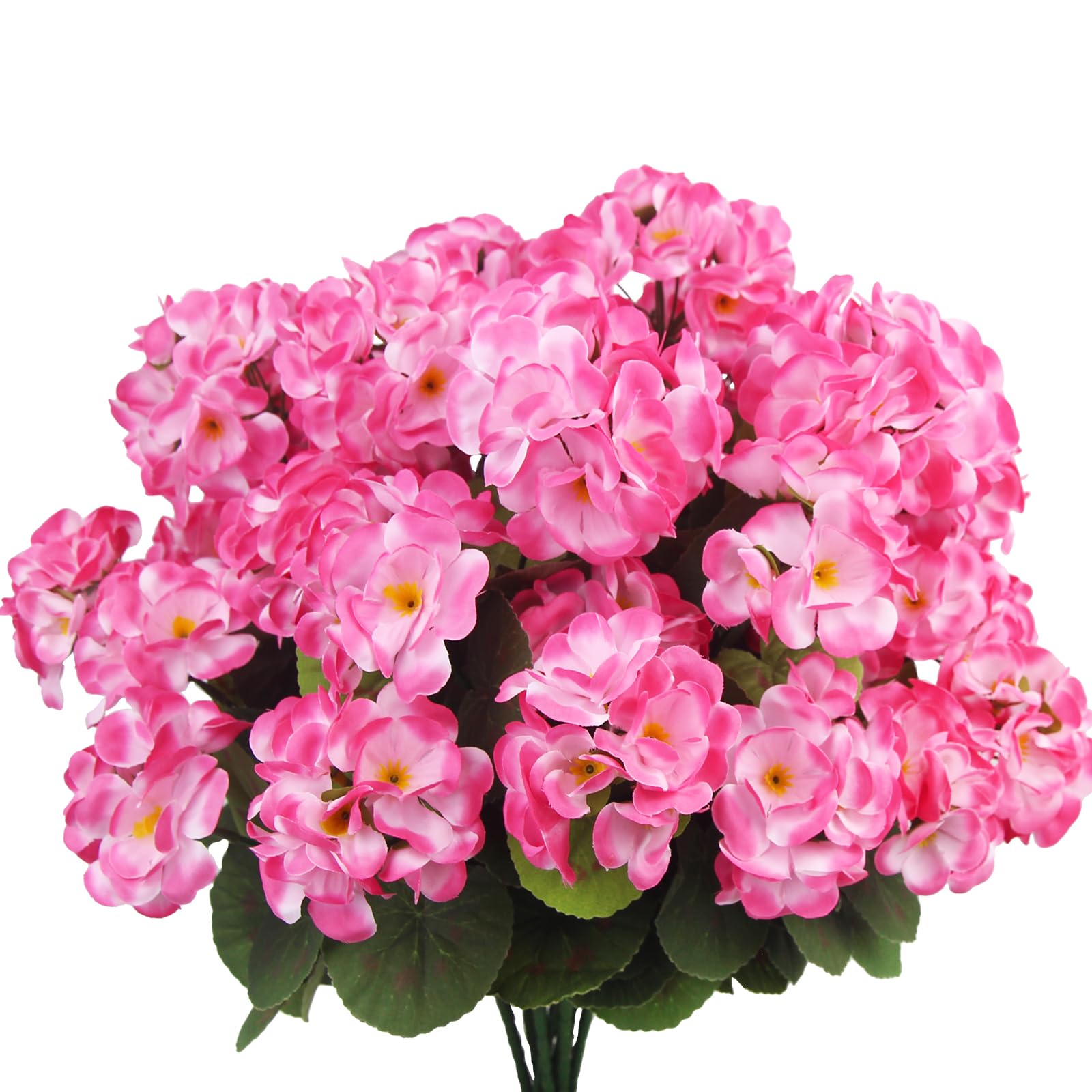 センラ 花や、花 センラ 花や、花