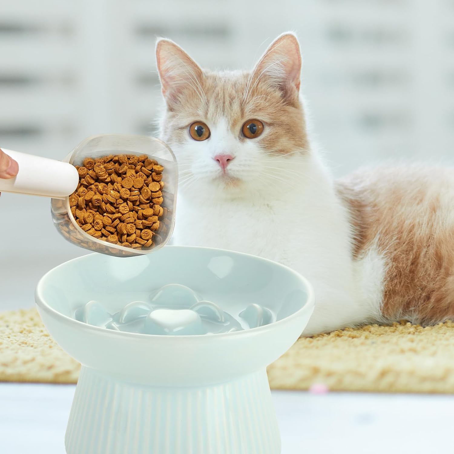 ABuff 2 Pack Raised Cat Slow Feeder, Elevated Slow Feed Dish for Cats and Small Dogs, Ceramic Slow Feeder Cat Bowl, No Spill High Edge for Dry/Wet Food(Blue, Green)